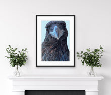 Load image into Gallery viewer, Andy Blue