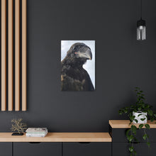 Load image into Gallery viewer, 'Fledgling Portrait' Metal Print