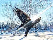 Load image into Gallery viewer, Snowy Raven