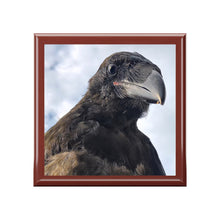 Load image into Gallery viewer, 'Fledgling Portrait' Jewelry Box