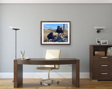 Load image into Gallery viewer, 2020 Fledgling Portrait #3
