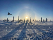 Load image into Gallery viewer, Bone-Snapping Cold