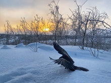 Load image into Gallery viewer, Making a Snow Angel
