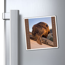 Load image into Gallery viewer, 'Fledgling Portrait #1' Magnet