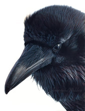 Load image into Gallery viewer, Thoughtful