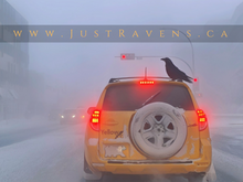 Load image into Gallery viewer, Ice Fog Taxi