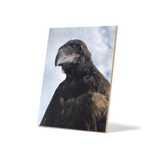 Load image into Gallery viewer, 'Fledgling Portrait' Ceramic Art Tile