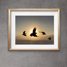 Load image into Gallery viewer, Sun Dancers