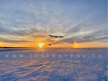 Load image into Gallery viewer, Raven Date