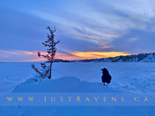 Load image into Gallery viewer, Charlie Brown Tree