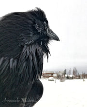 Load image into Gallery viewer, Over There