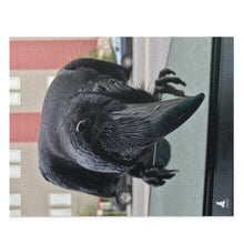 Load image into Gallery viewer, 'Co-Pilot' Jigsaw Puzzle (120, 252, 500-Piece)