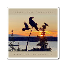 Load image into Gallery viewer, 'Fledgling Portrait #9' Magnet