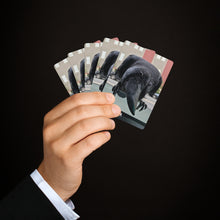 Load image into Gallery viewer, 'Co-Pilot' Poker Cards