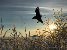 Load image into Gallery viewer, Crispy Morning