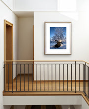 Load image into Gallery viewer, Photobomb