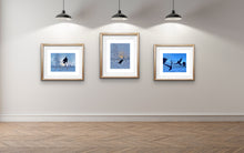 Load image into Gallery viewer, Release