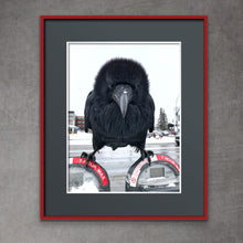 Load image into Gallery viewer, One Hour Max