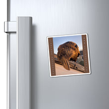 Load image into Gallery viewer, 'Fledgling Portrait #1' Magnet