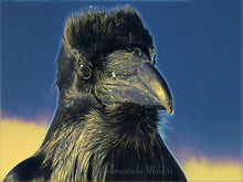 Load image into Gallery viewer, Leonard