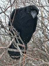 Load image into Gallery viewer, Are You Okay?