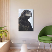 Load image into Gallery viewer, 'Fledgling Portrait' Metal Print