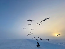 Load image into Gallery viewer, Ethereal Ice Fog