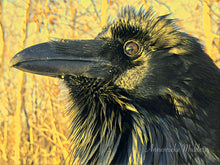 Load image into Gallery viewer, Hope