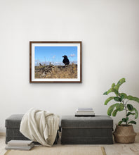 Load image into Gallery viewer, 2020 Fledgling Portrait #4