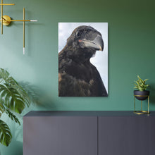 Load image into Gallery viewer, 'Fledgling Portrait' Metal Print