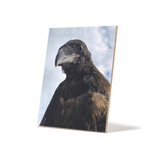 Load image into Gallery viewer, 'Fledgling Portrait' Ceramic Art Tile