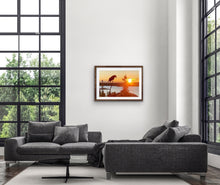 Load image into Gallery viewer, 2020 Fledgling Portrait #5