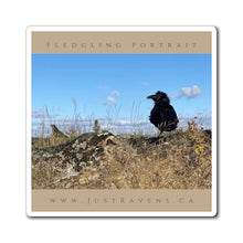Load image into Gallery viewer, 'Fledgling Portrait #4' Magnet