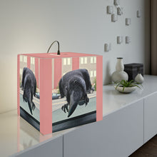 Load image into Gallery viewer, 'Co-Pilot' Cube Lamp