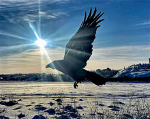 Load image into Gallery viewer, Frozen Light