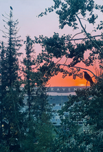 Load image into Gallery viewer, Rosy Morning