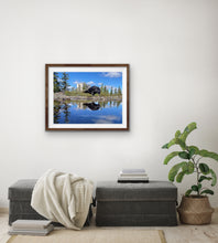 Load image into Gallery viewer, 2020 Fledgling Portrait #7