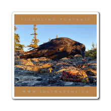 Load image into Gallery viewer, 'Fledgling Portrait #11' Magnet