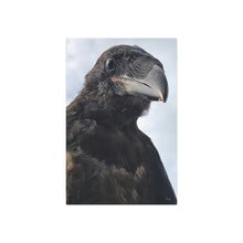 Load image into Gallery viewer, 'Fledgling Portrait' Metal Print