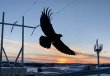 Load image into Gallery viewer, Sunset at the Power Plant