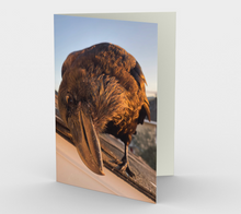 Load image into Gallery viewer, 'Curious Fledgling' Art Cards (Set of 3)