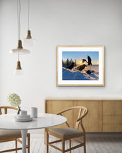 Load image into Gallery viewer, Play