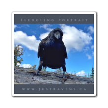 Load image into Gallery viewer, 'Fledgling Portrait #6' Magnet