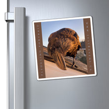 Load image into Gallery viewer, 'Fledgling Portrait #1' Magnet