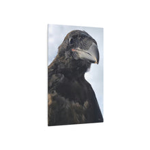 Load image into Gallery viewer, 'Fledgling Portrait' Metal Print