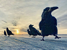 Load image into Gallery viewer, Watchers