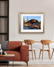 Load image into Gallery viewer, 2020 Fledgling Portrait #11