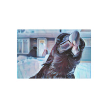 Load image into Gallery viewer, 'Nosy Neighbour' Metal Print