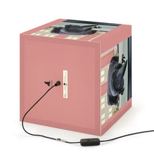 Load image into Gallery viewer, 'Co-Pilot' Cube Lamp