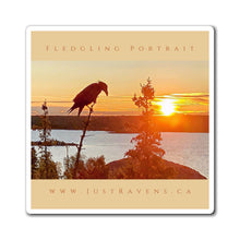 Load image into Gallery viewer, 'Fledgling Portrait #5' Magnet